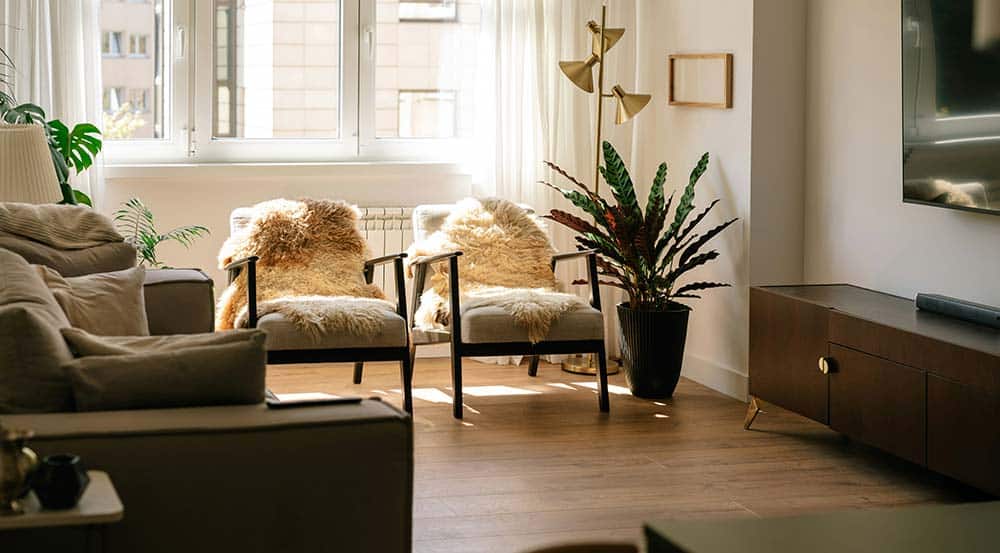 A sunlit, modern living room features two grey armchairs draped with fluffy sheepskin rugs.