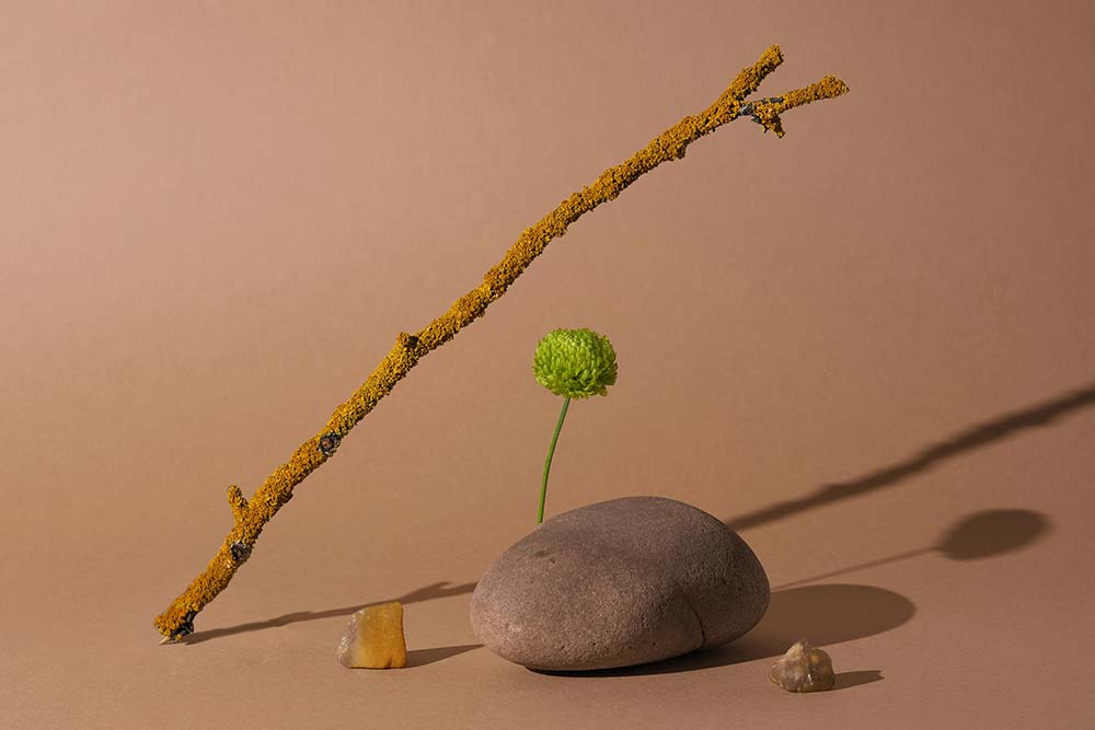 a yellow stick green flower and stones on brown background